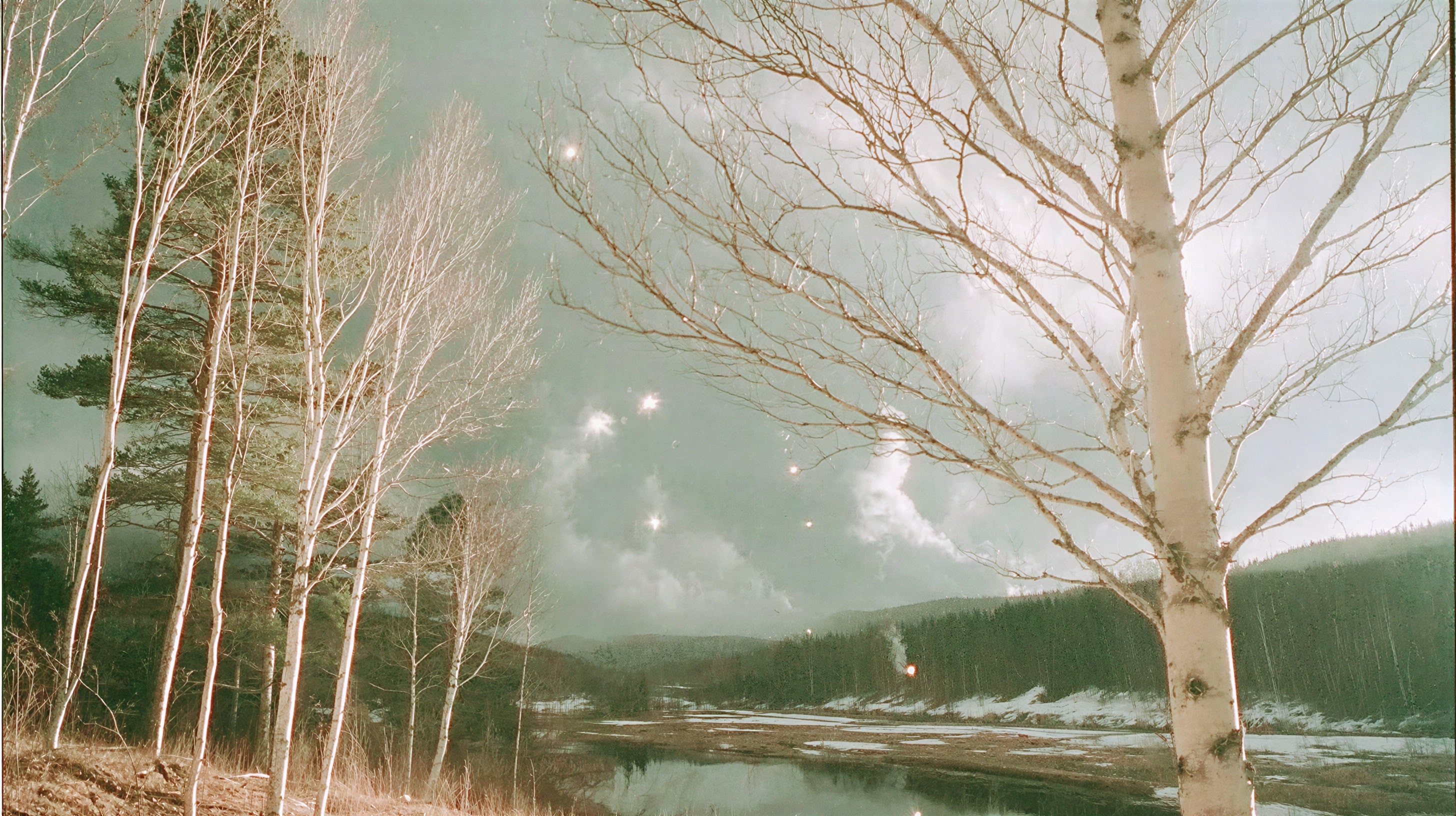 Finnish Consumer Shopping Trends, October 2025